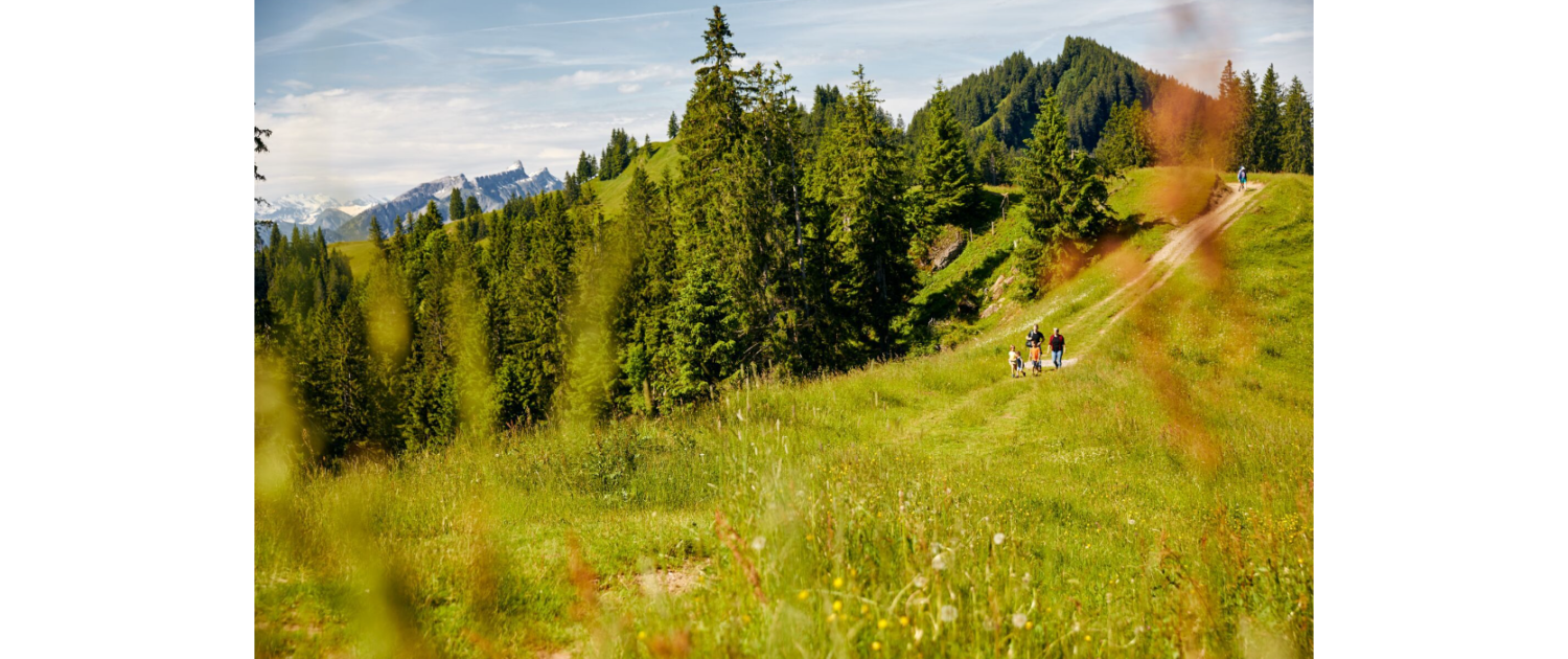 Wanderung Heiligkreuz First