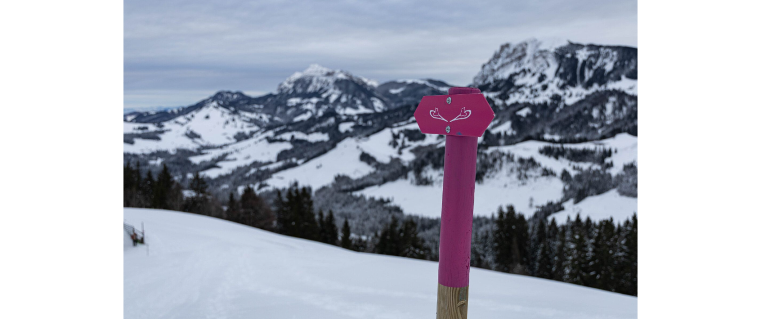 Winter Schneeschuhtour Heiligkreuz First
